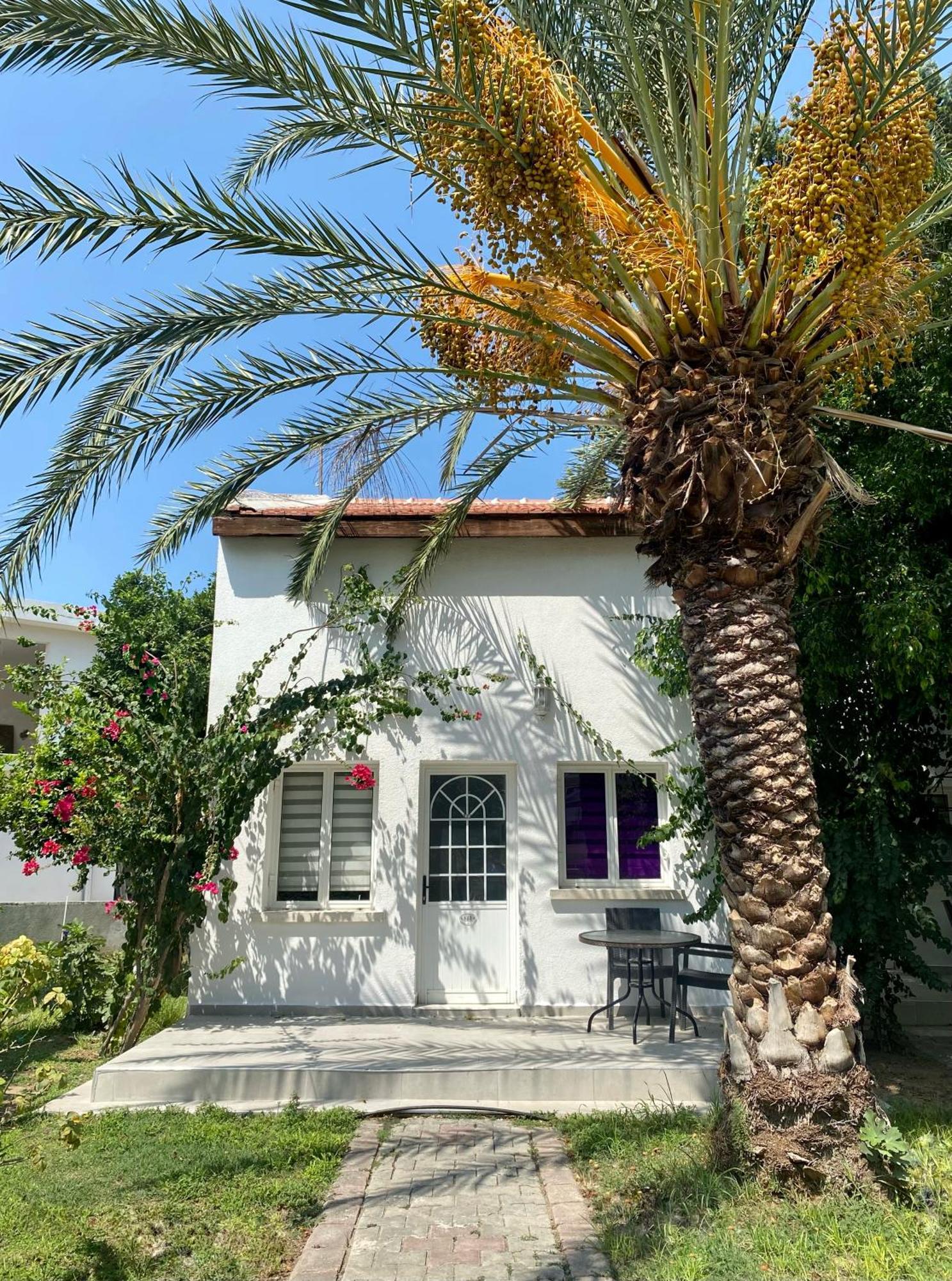 The Prince Inn Hotel & Villas Agios Georgios  Eksteriør bilde