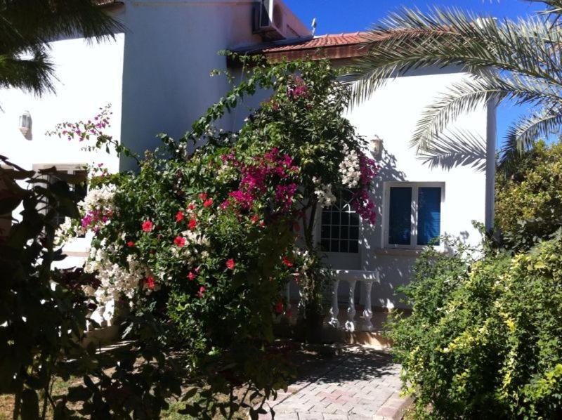 The Prince Inn Hotel & Villas Agios Georgios  Eksteriør bilde