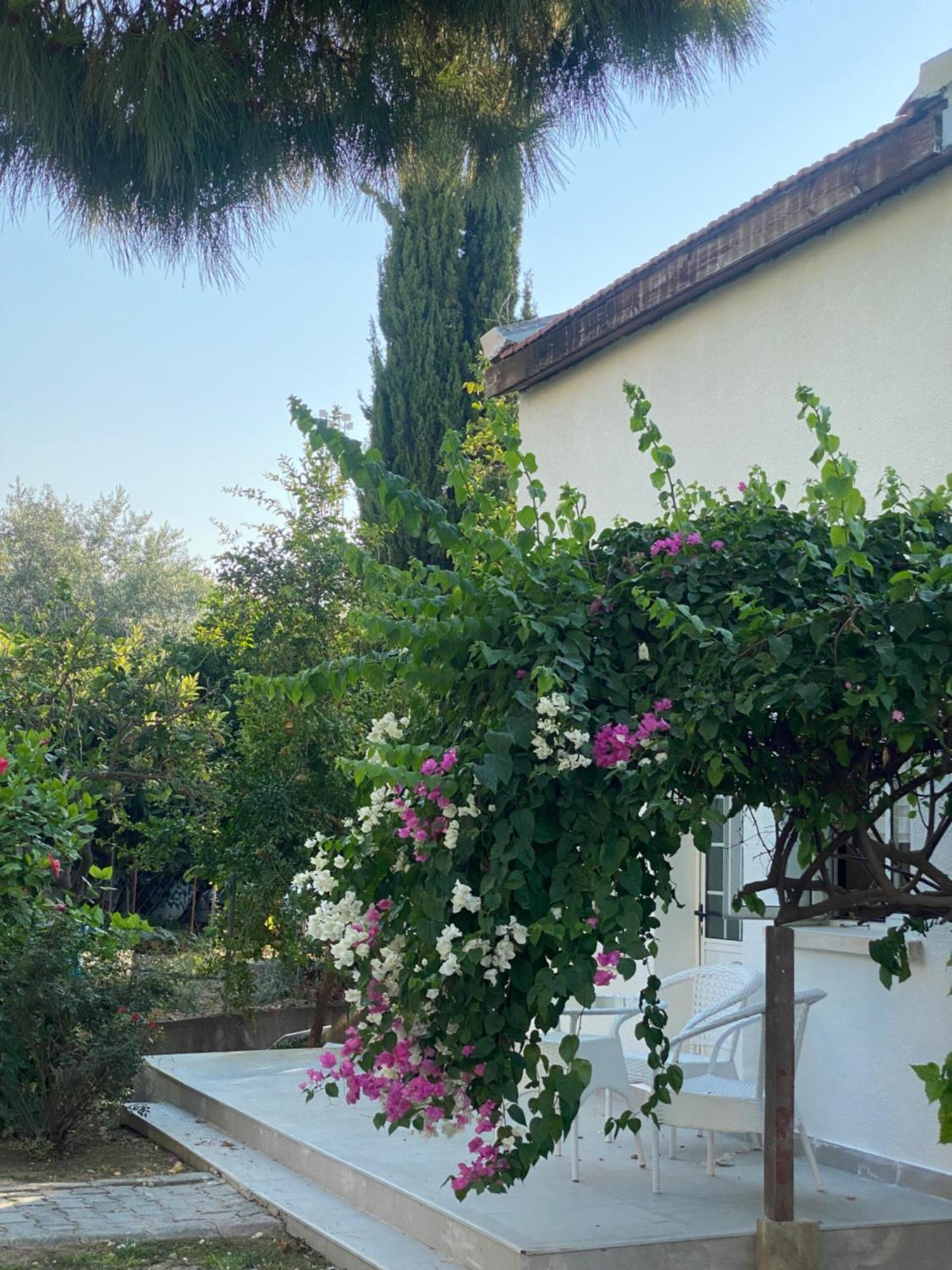 The Prince Inn Hotel & Villas Agios Georgios  Eksteriør bilde